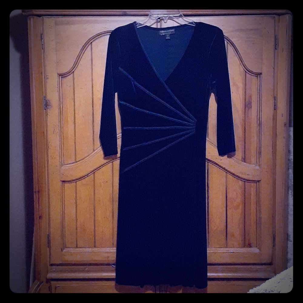 Velvet dress size 10 petite